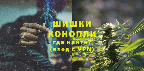 дживик Балахна