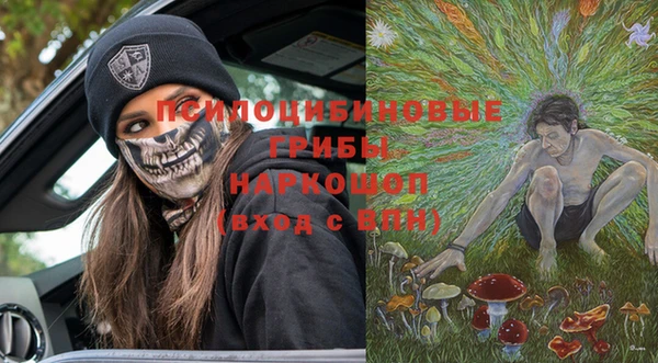 apvp Тайга