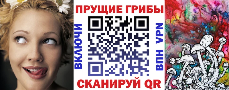 Псилоцибиновые грибы Psilocybe  даркнет сайт  Венёв 